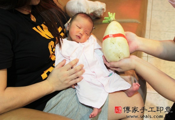陳寶寶(新北中和區到府嬰兒寶寶滿月剃頭理髮、免費到府嬰兒剃胎毛儀式吉祥話)。到府剃頭剃胎毛主持、專業拍照、DVD光碟、證書。★購買「臍帶章、肚臍章、胎毛筆刷印章」贈送：剃頭、收涎、抓周，三選一。2015.11.18 照片14